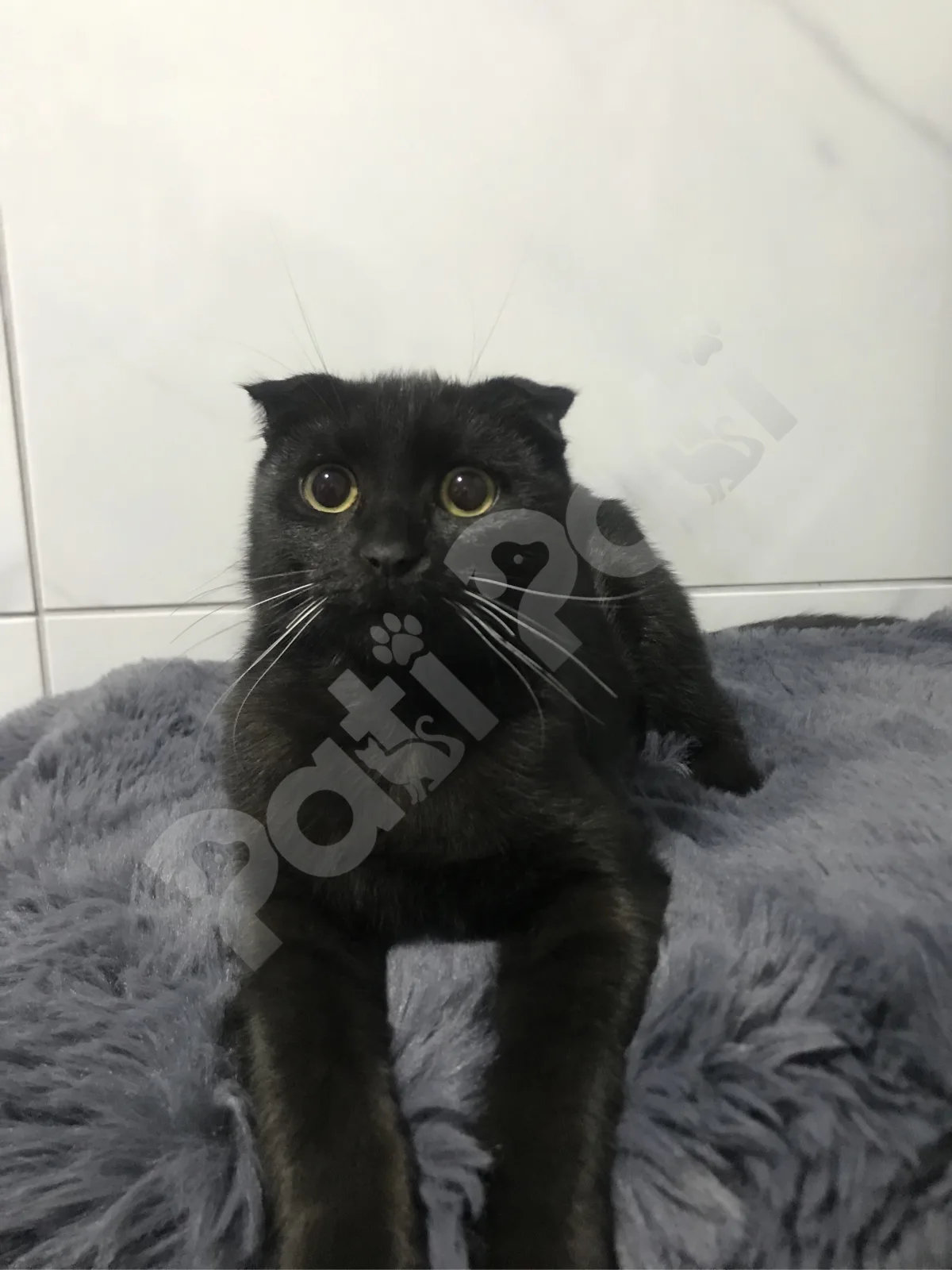 İsmi henüz yok
