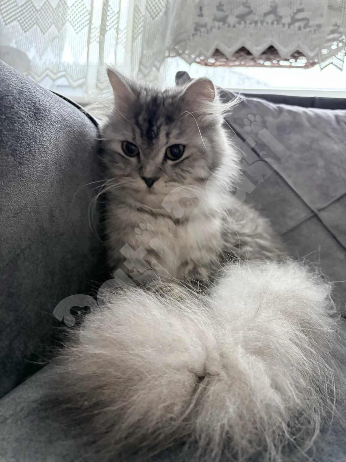 Gümüş