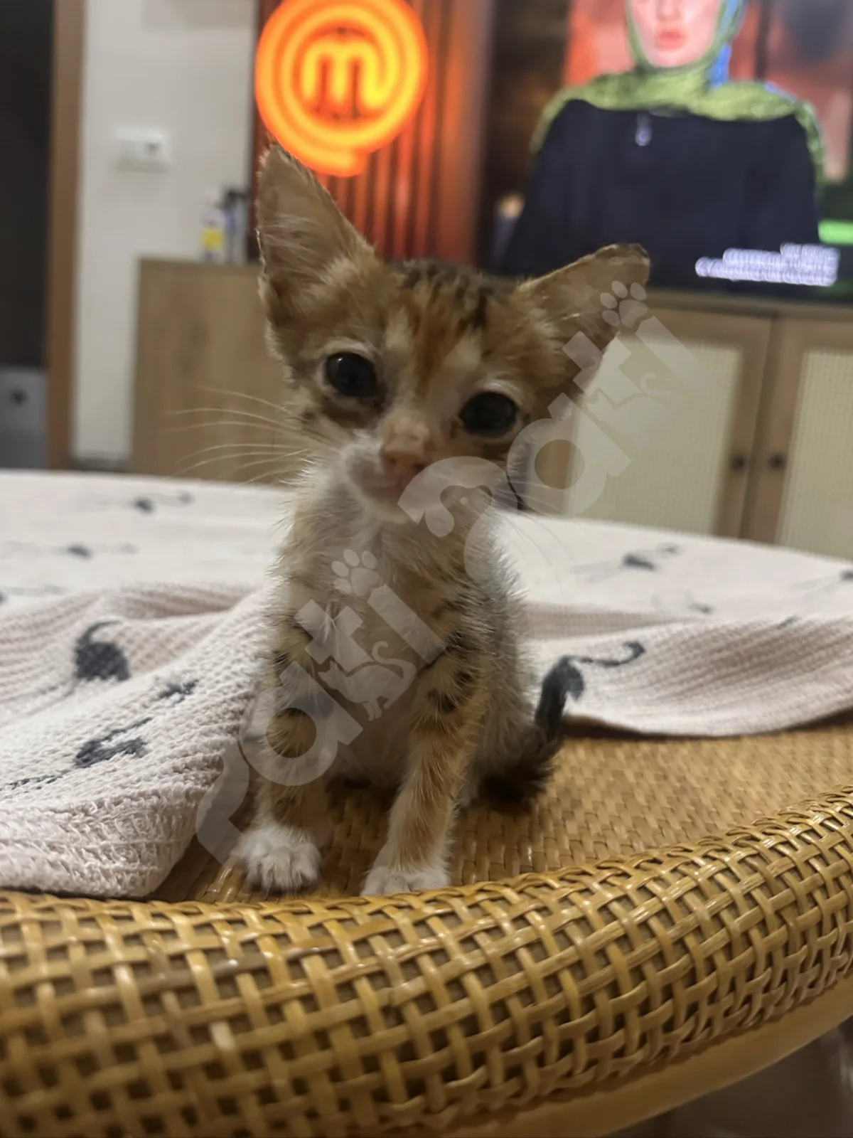 Minik
