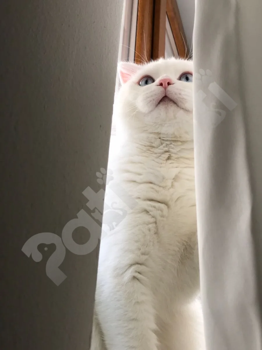 no name