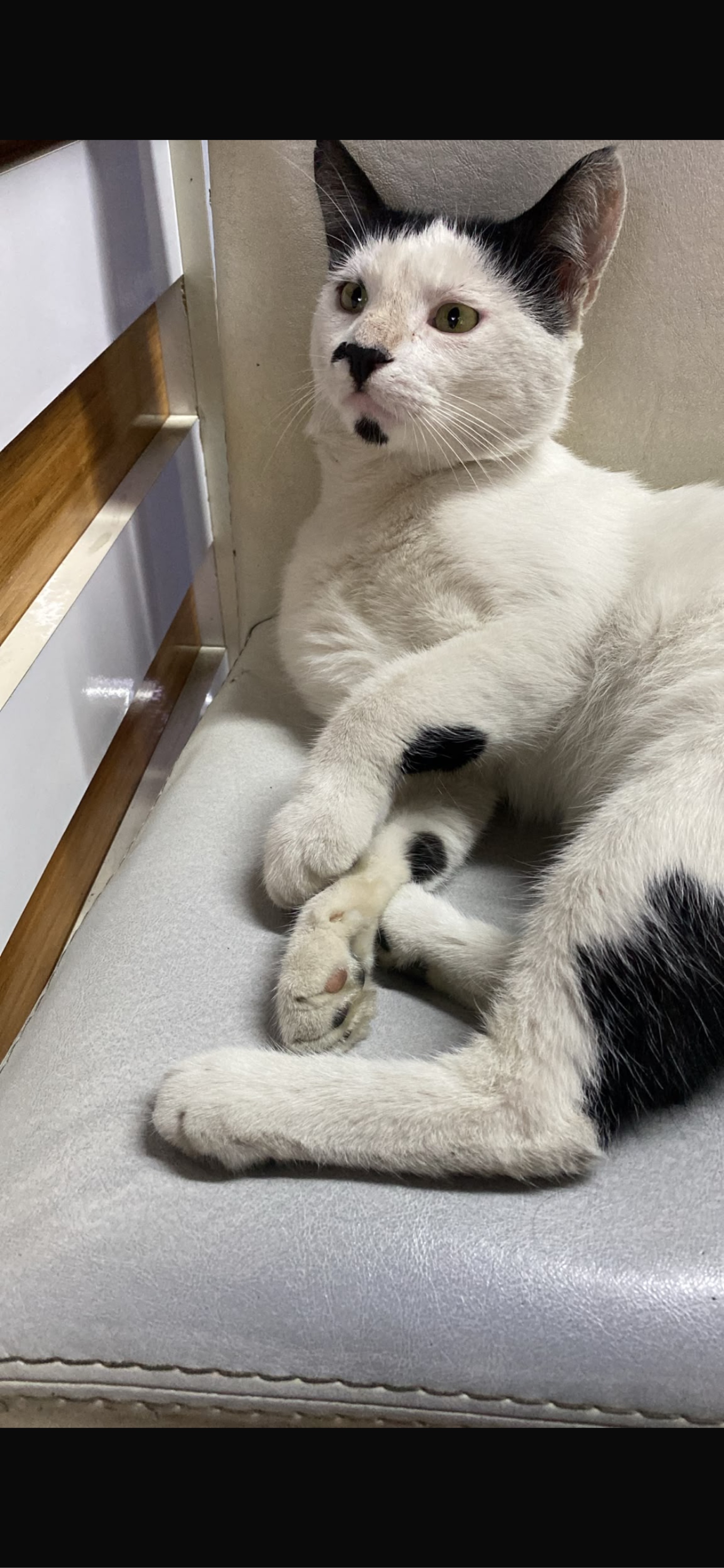 Kiko