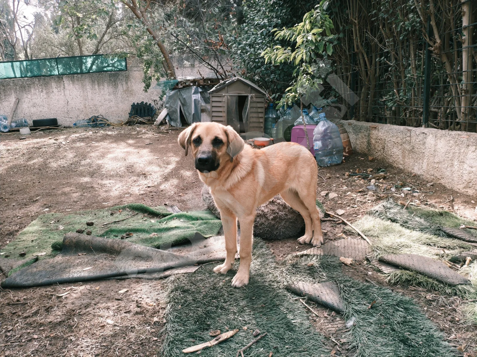 Adsız