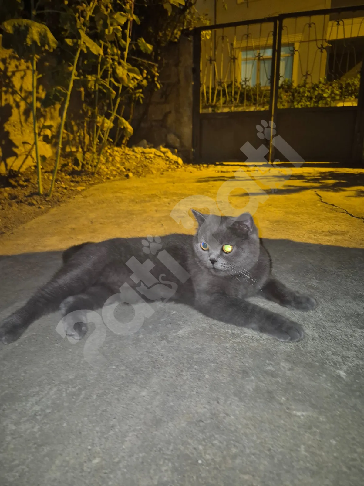 Bilinmiyor
